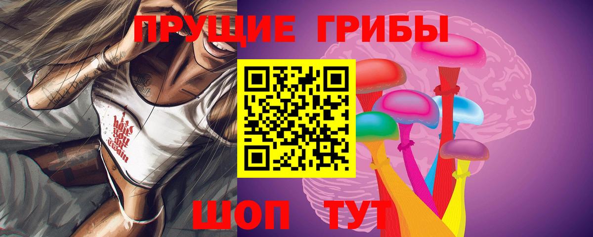 Псилоцибиновые грибы Psilocybe  наркота  Вход с VPN  Петропавловск-Камчатский  Псилоцибиновые грибы Cubensis 